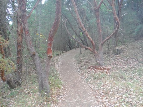 young hill trail