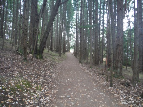young hill trail
