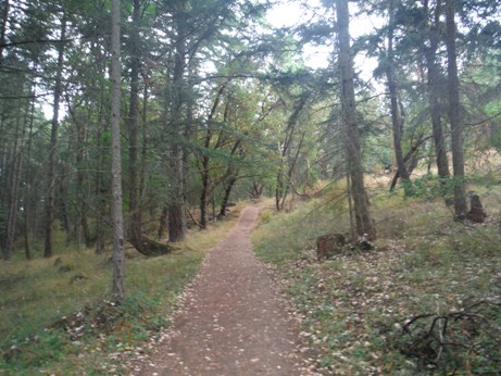 young hill trail