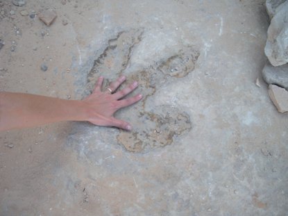 Dinosaur Footprint