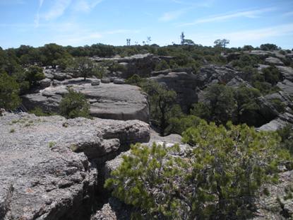 cedar rim