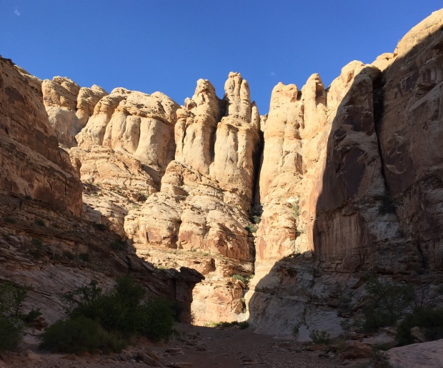 Chute Canyon