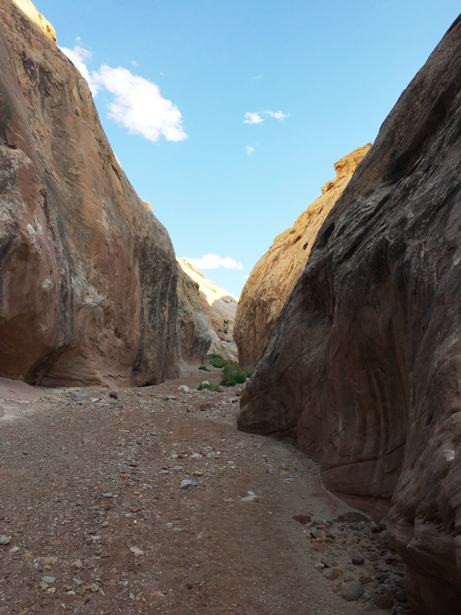 Chute Canyon