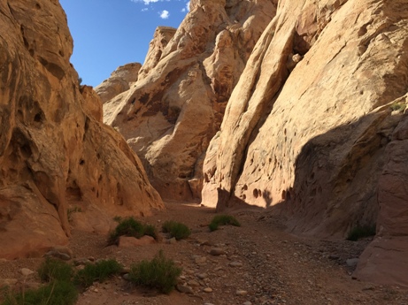 Chute Canyon