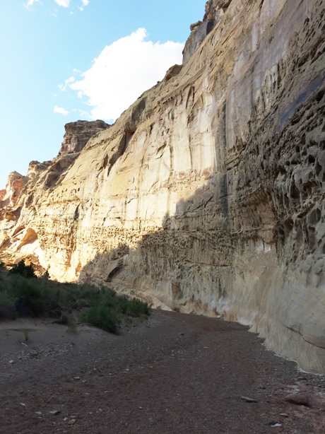 Chute Canyon