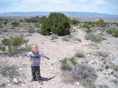 Raptor Point trail