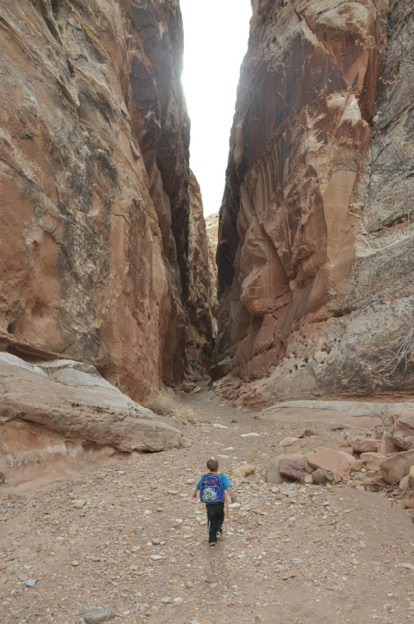 Crack Canyon Utah