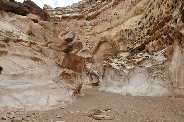 hiking the canyon