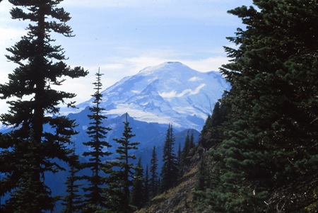 Mount Rainier 