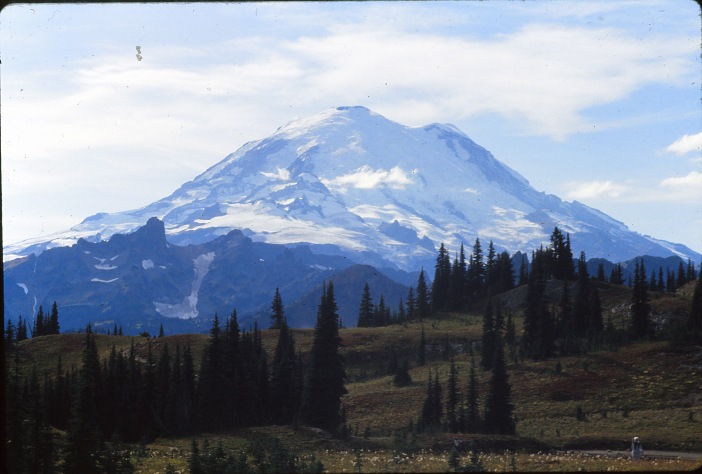 Mount Rainier 