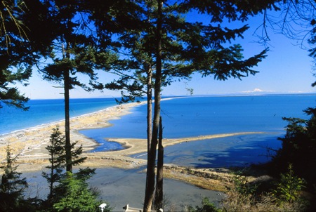 Dungeness Spit 