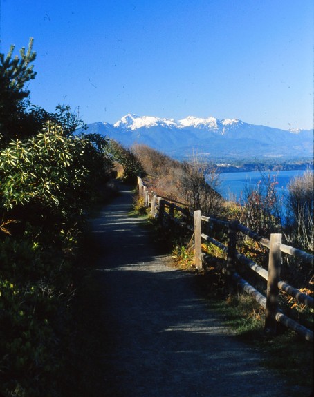 Dungeness Spit 