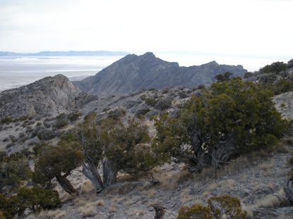 Cobb Peak