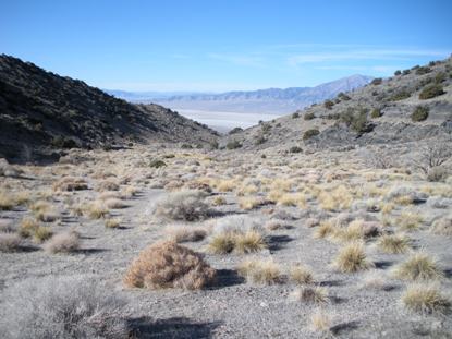 silver island mountains