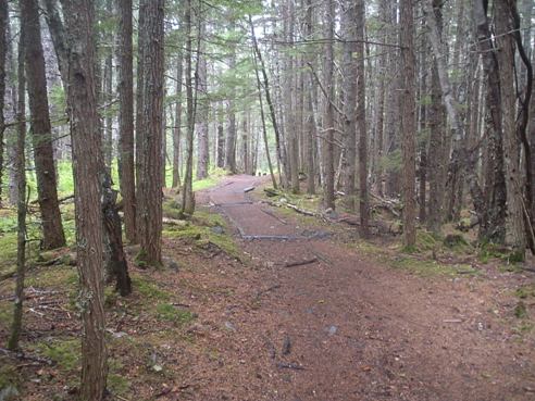 Dewey Lakes Trail