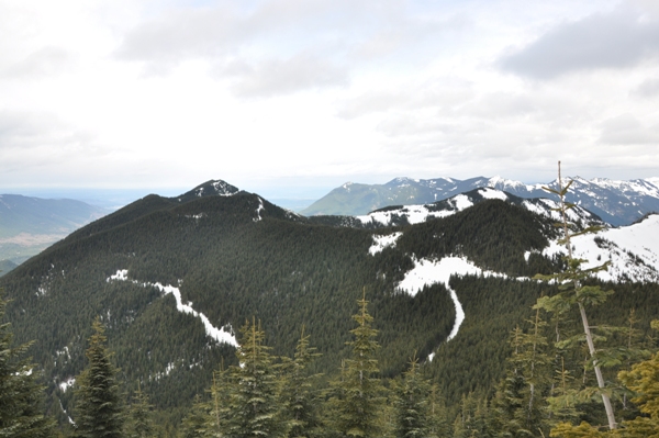 Mount Washington 