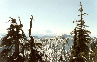 Mount Rainier 