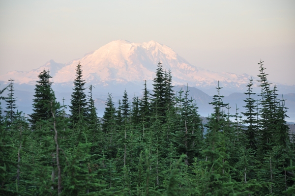 Mount Rainier