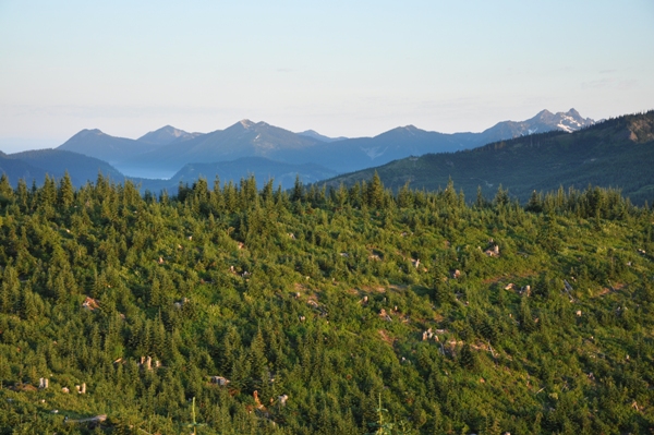 snoqualmie pass area