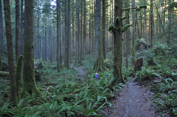 little si trail