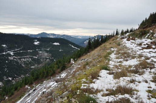 trail to st.helens