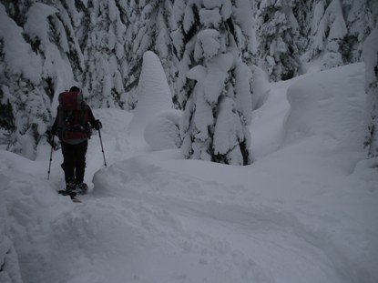 snowshoeing