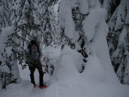 Snowshoe Trail