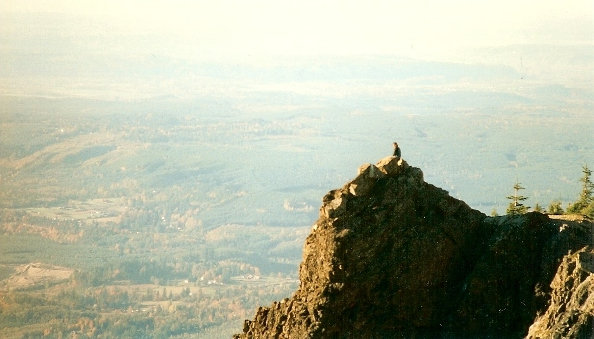 rocks on si