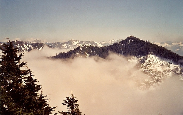 Mount Teneriffe 