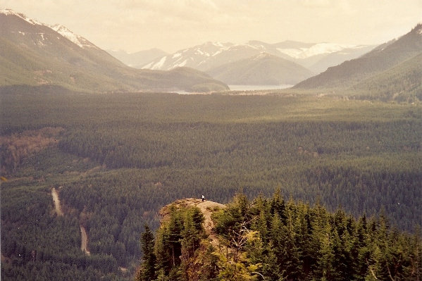 Cedar River Watershed 