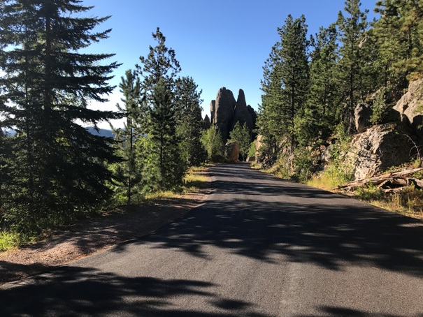 Needles Highway