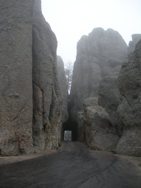 Custer State Park tunnel