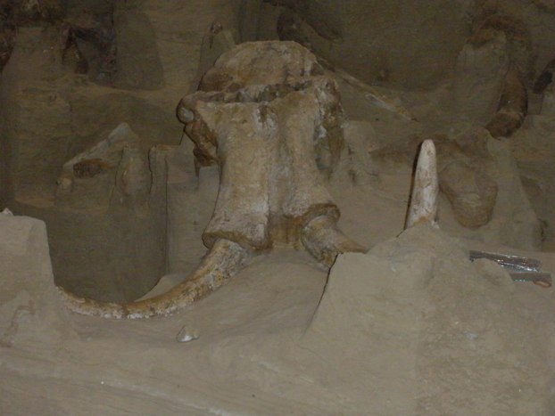 mammoth site