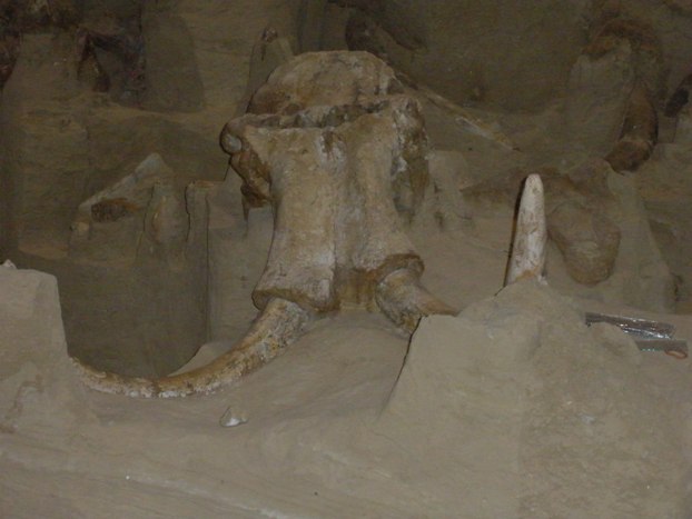 mammoth site