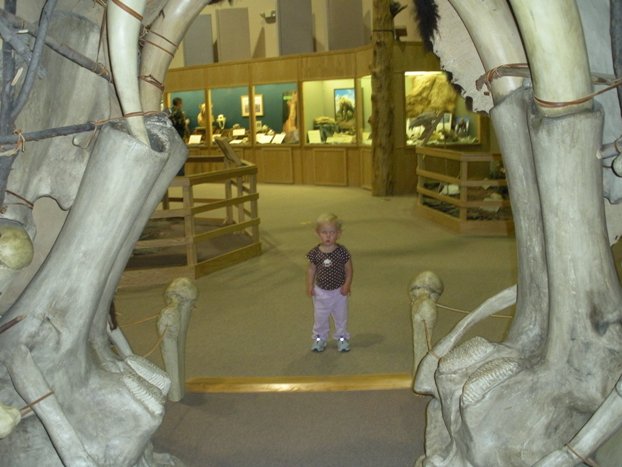 mammoth site