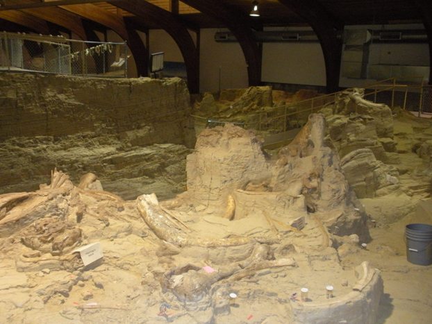 mammoth site