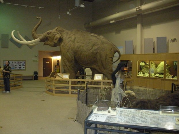 mammoth site