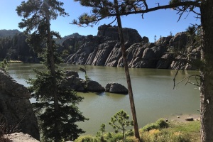 Custer State Park