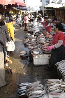 Jagalchi Fish Market in Busan