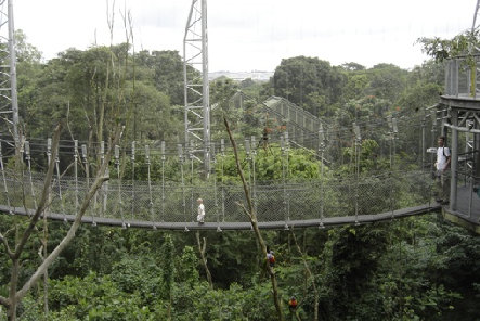 Jurong Bird Park