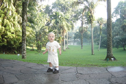 Sigapore Botanic Gardens