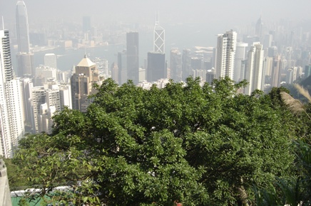 Victoria Peak Tower