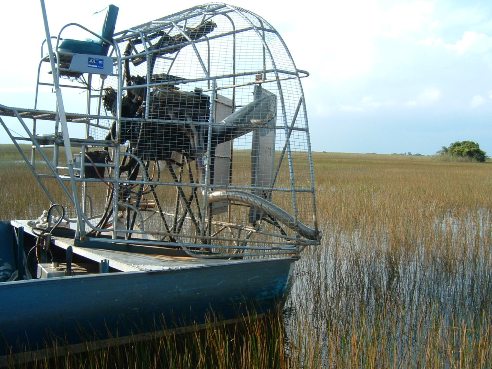 Airboating in the Everglades