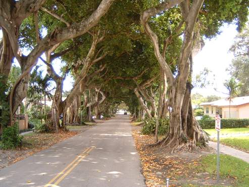 Streets in Coral Gables