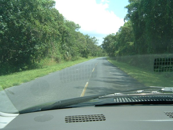 Everglades National Park Florida