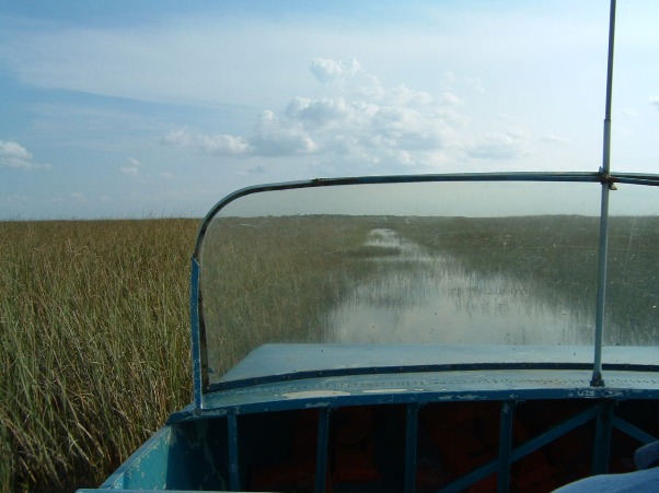 Airboating in the Everglades