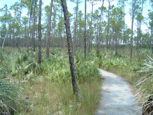 Everglades National Park