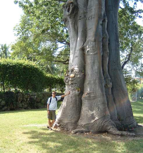 Downtown Miami Parks