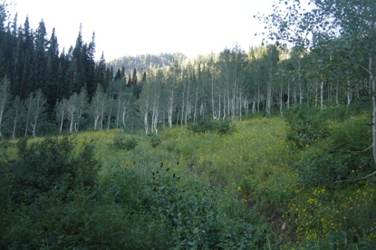 hiking Spanish Fork Peak