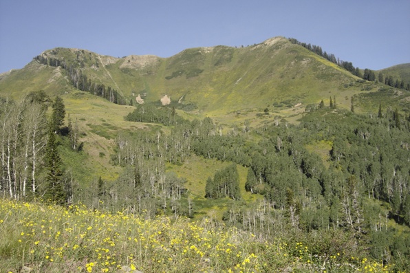 Spanish Fork Peak